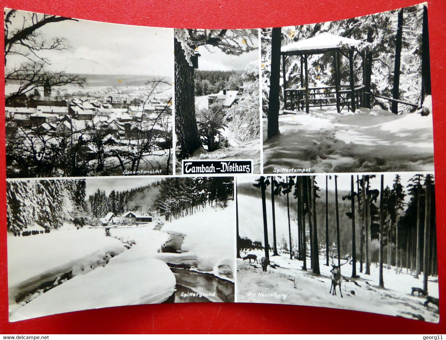 Tambach Dietharz Im Winter - 1969 - Nesselberg - Spittertempel - Echt Foto - Thüringer Wald - Thüringen - Tambach-Dietharz