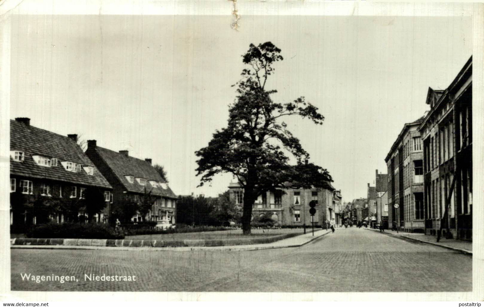 WAGENINGEN  Niedestraat  Nudestraat Gelderland Wageningen  HOLLAND HOLANDA NETHERLANDS - Wageningen