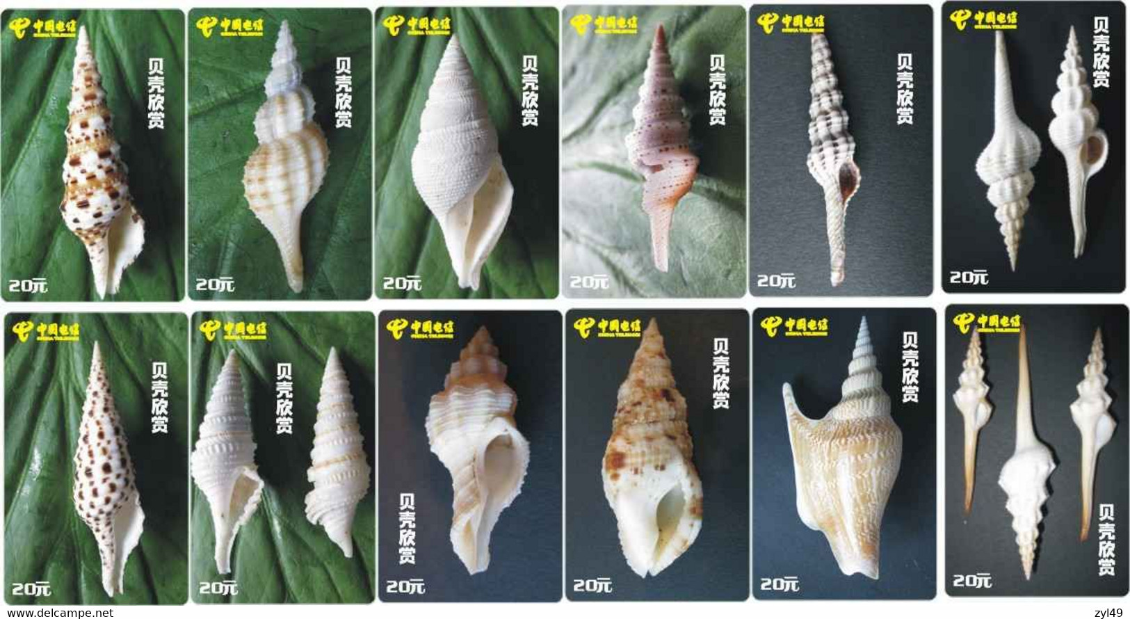 S05057 China Phone Cards Shell 77pcs - Peces