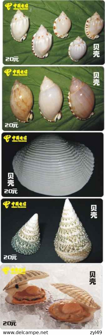 S05057 China Phone Cards Shell 77pcs - Peces