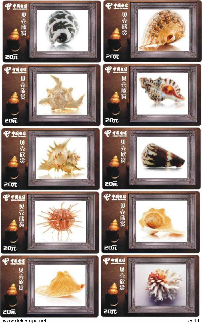 S05057 China phone cards Shell 77pcs