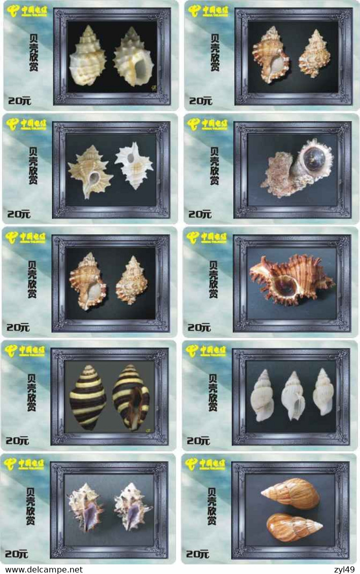 S05057 China phone cards Shell 77pcs