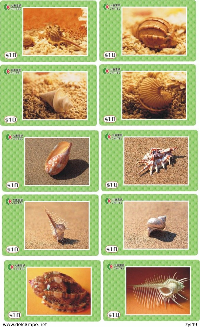 S05085 China Phone Cards Shell 120pcs - Vissen