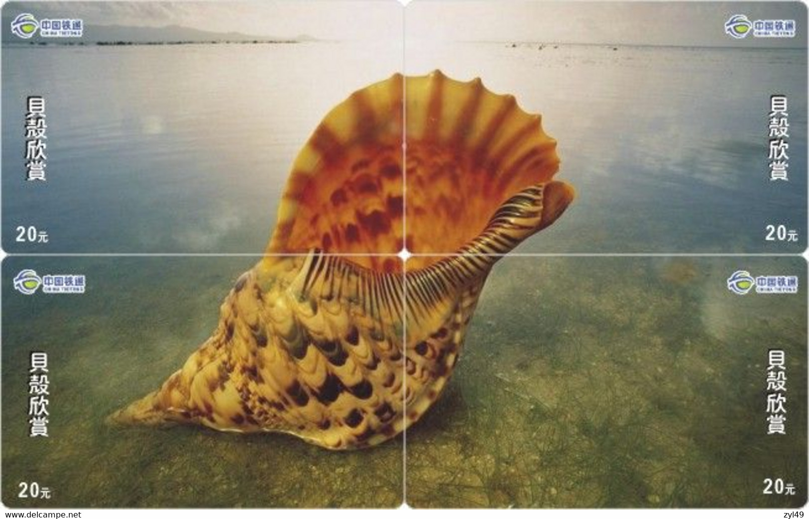 S05087 China Phone Cards Shell Puzzle 20pcs - Fish