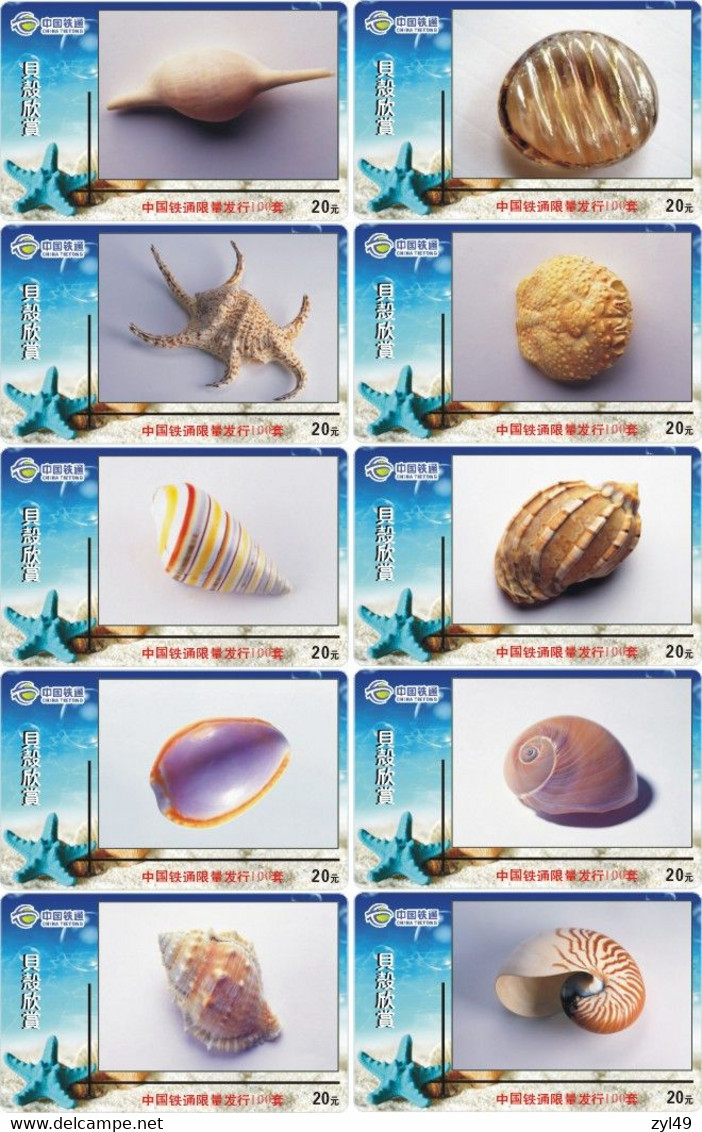 S05088 China phone cards Shell 80pcs