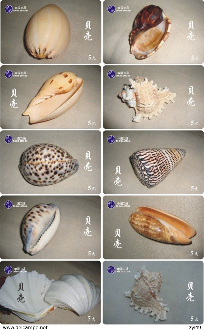 S05091 China Phone Cards Shell 106pcs - Peces