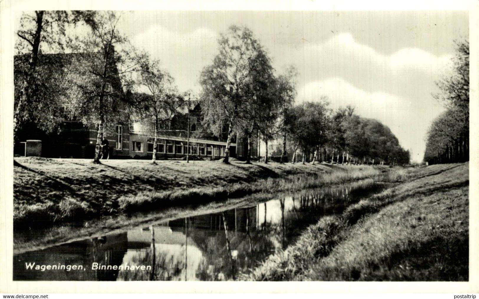 WAGENINGEN   Binnenhaven   Kanaal Gelderland Wageningen  HOLLAND HOLANDA NETHERLANDS - Wageningen