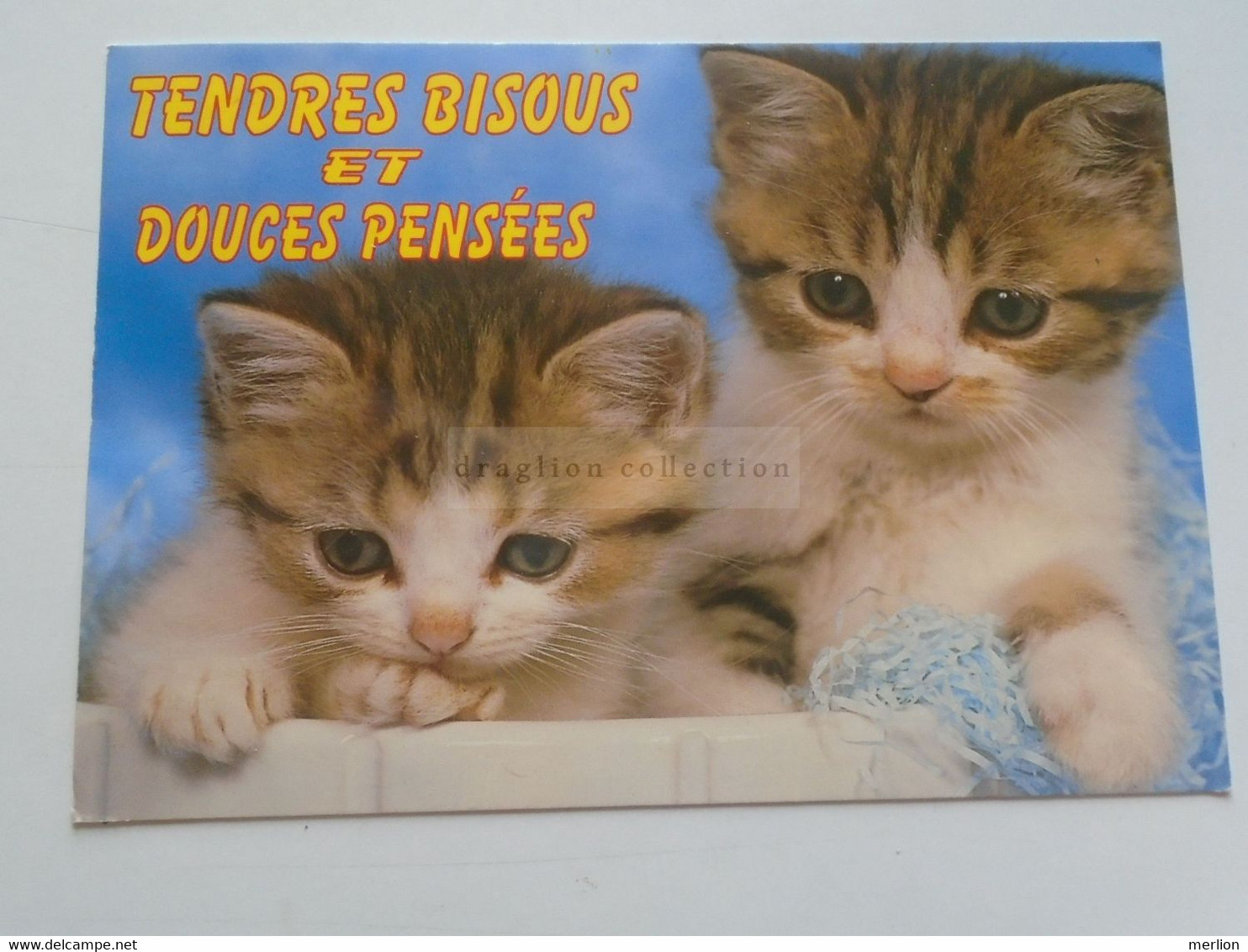 D179294 -  TENDRES BISOUS ET MILLE  PENSEES -Chat Cat  Kitten -stamp - Maurice Garin  Bike Cycling Biker  Tour De France - Mountain Bike