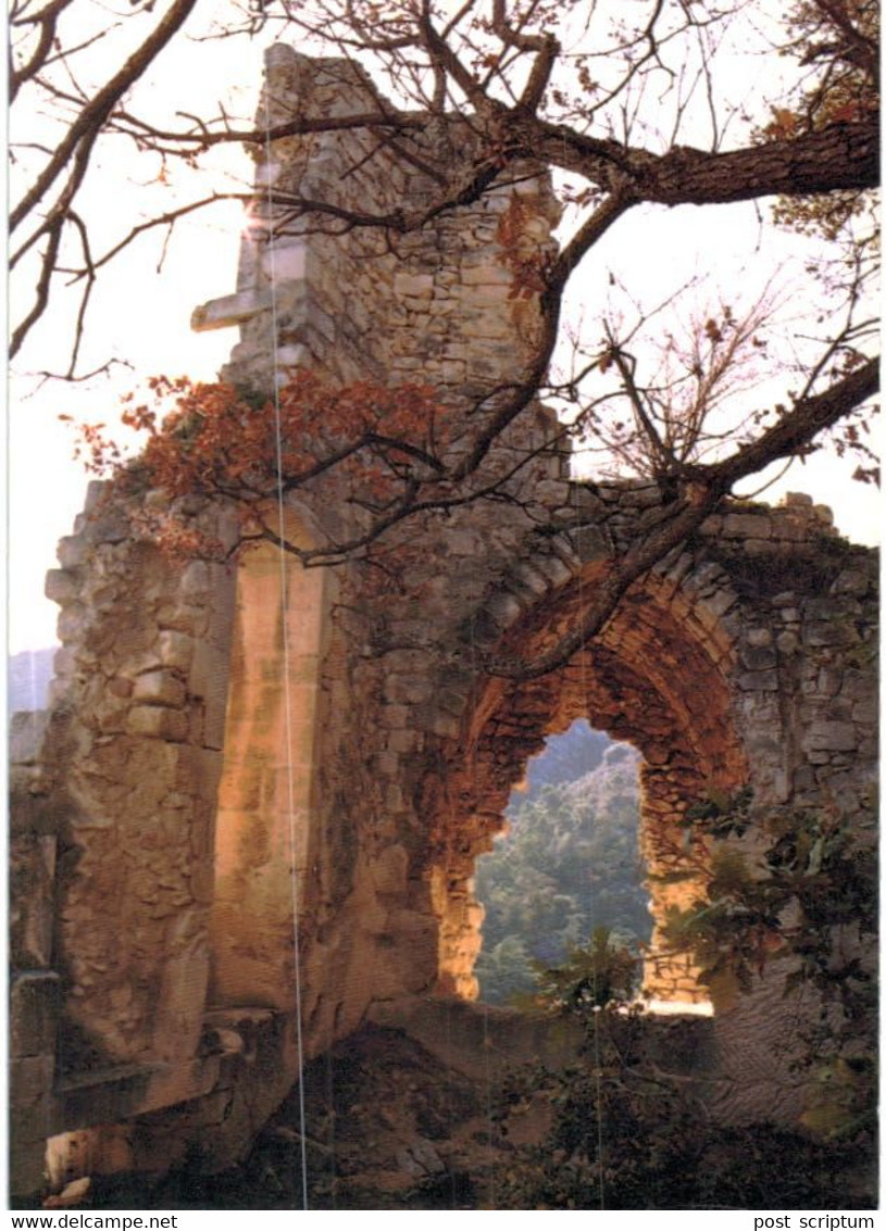 Oppède Le Vieux - Village + Ruines Du Château 2 Cartes - Oppede Le Vieux