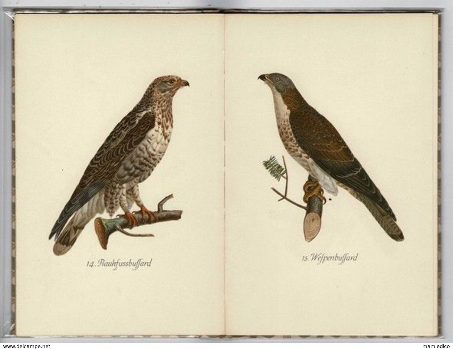 1937 Série: "Le Petit Livre " Les Oiseaux De Proie. Das Kleine Buch Der Greise. 40 Pages 12/19 Cm TBE - Libros Antiguos Y De Colección