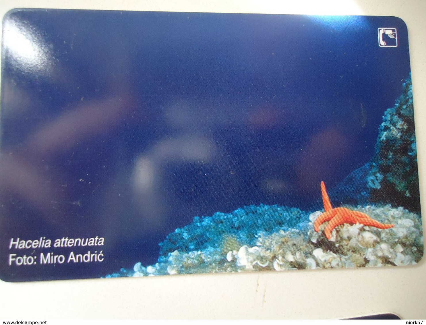 CROATIA USED CARDS MARINE LIFE  FISHES - Peces