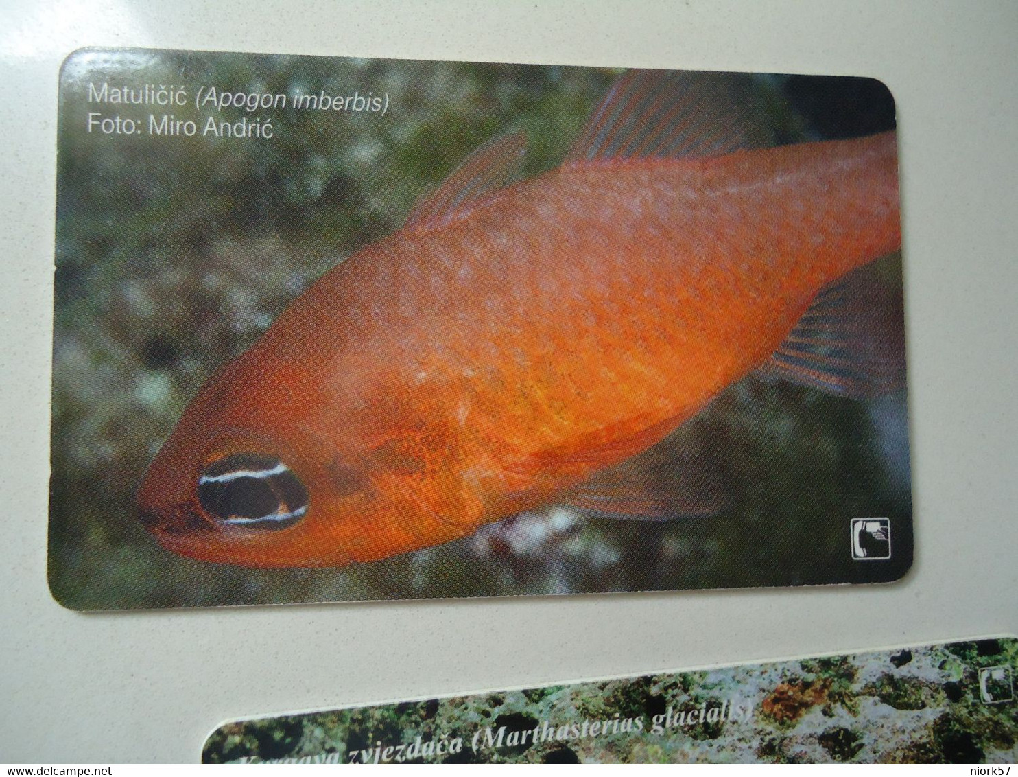 CROATIA USED CARDS MARINE LIFE  FISHES - Peces