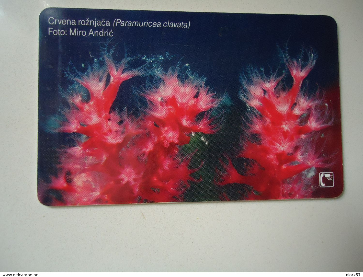 CROATIA USED CARDS MARINE LIFE  FISHES - Peces