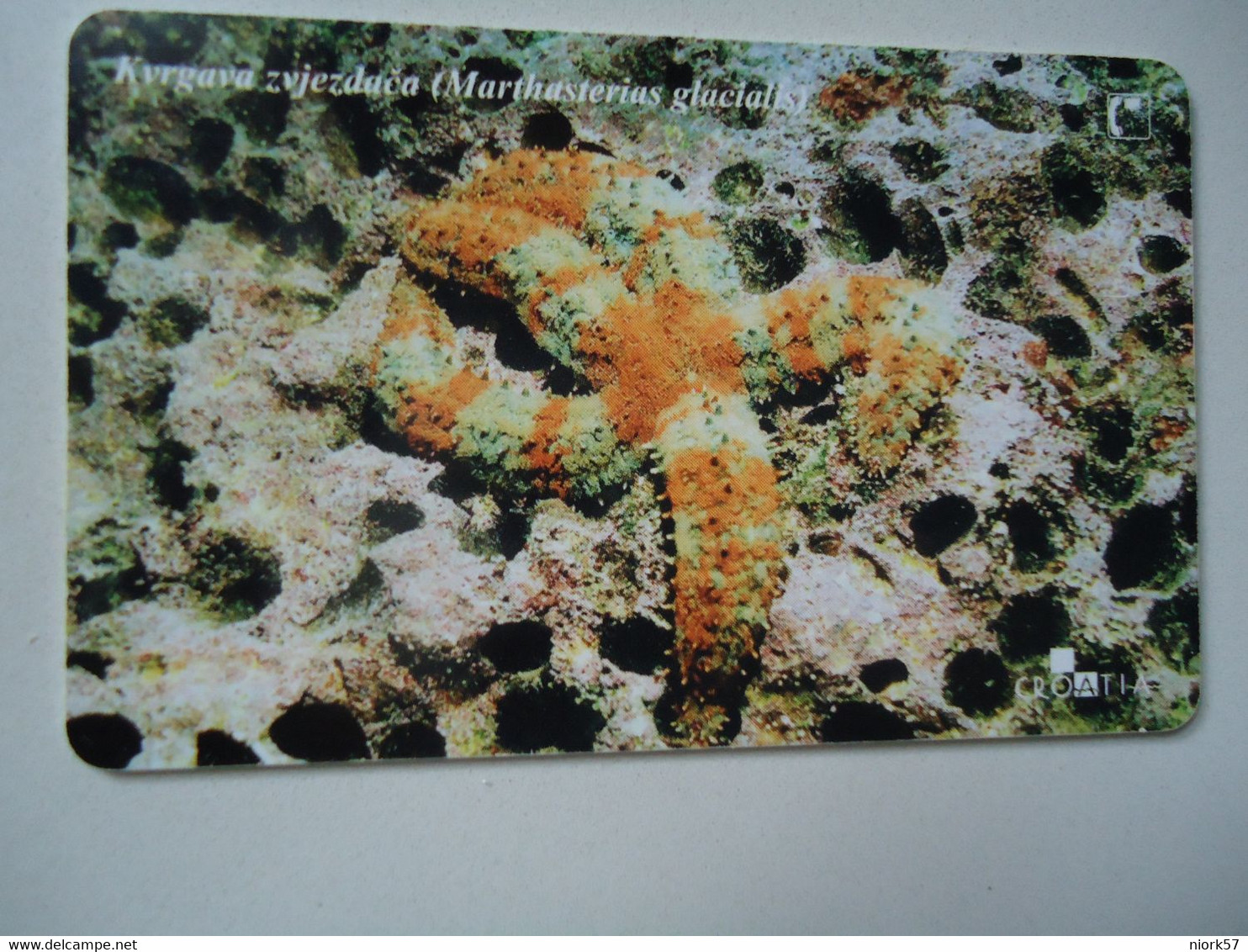 CROATIA USED CARDS MARINE LIFE  FISHES - Peces