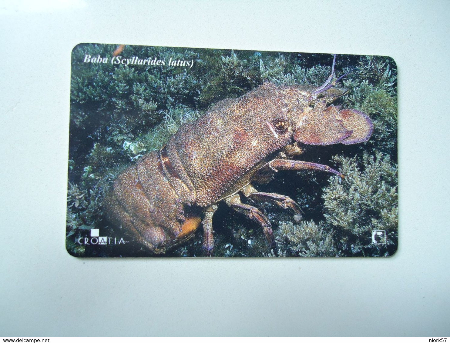 CROATIA USED CARDS MARINE LIFE  FISHES - Vissen