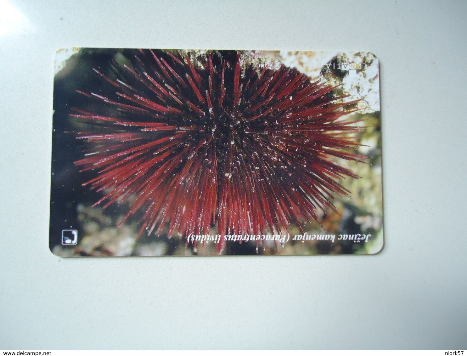 CROATIA USED CARDS MARINE LIFE  FISHES - Peces