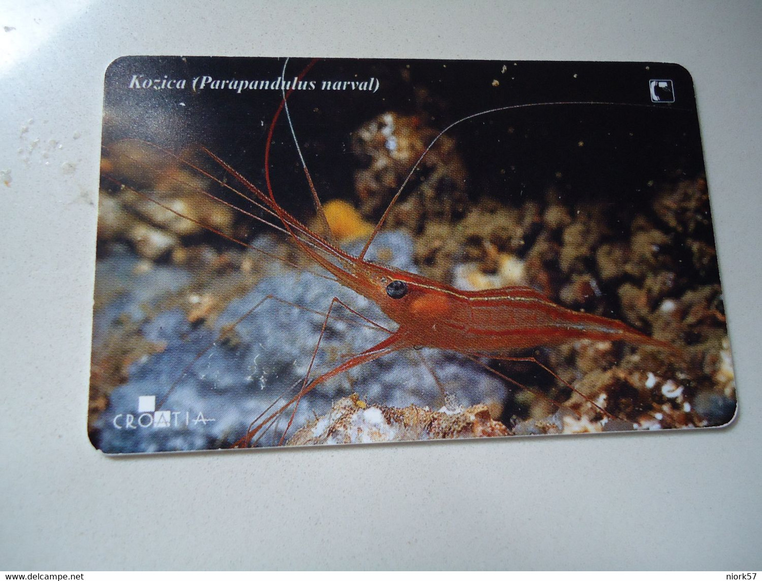 CROATIA USED CARDS MARINE LIFE  FISHES - Peces