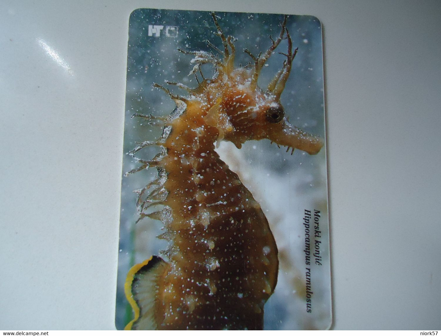 CROATIA USED CARDS MARINE LIFE  FISHES - Vissen