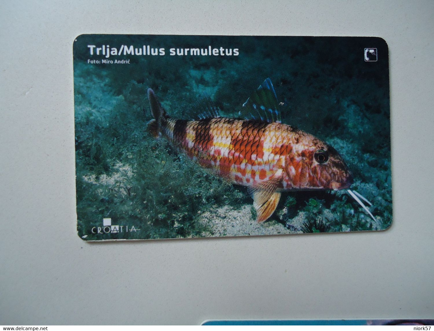 CROATIA USED CARDS MARINE LIFE  FISHES - Peces