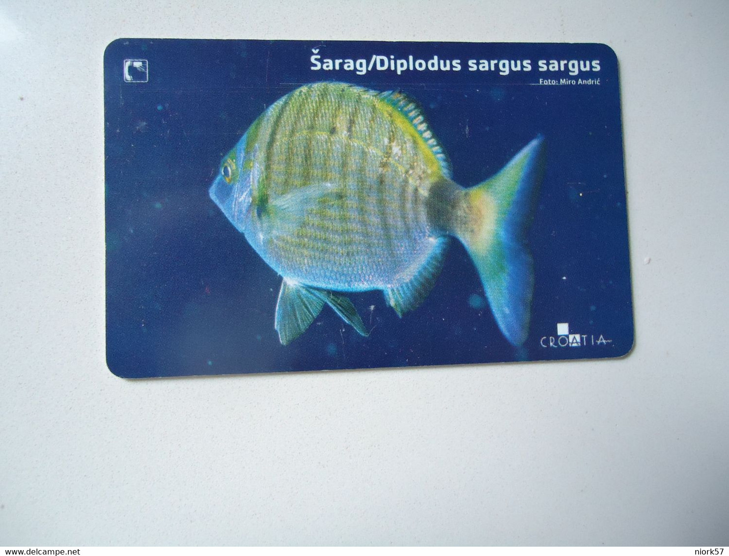 CROATIA USED CARDS MARINE LIFE  FISHES - Peces