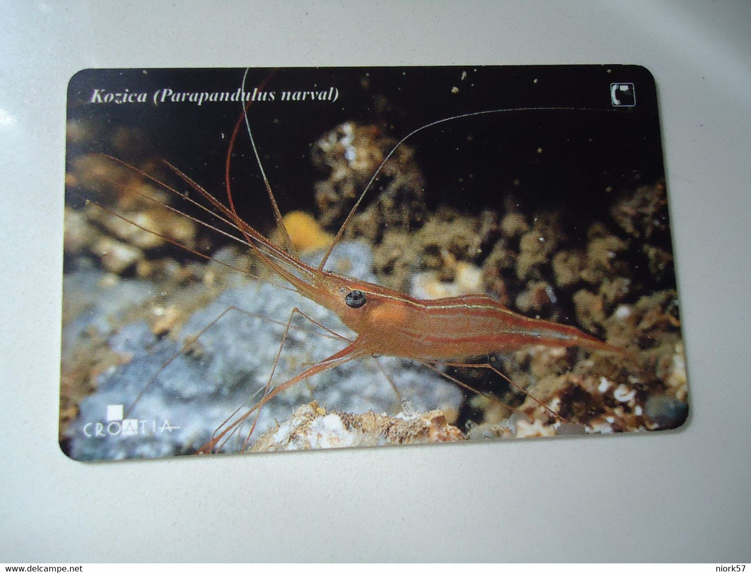 CROATIA USED CARDS MARINE LIFE  FISHES - Peces