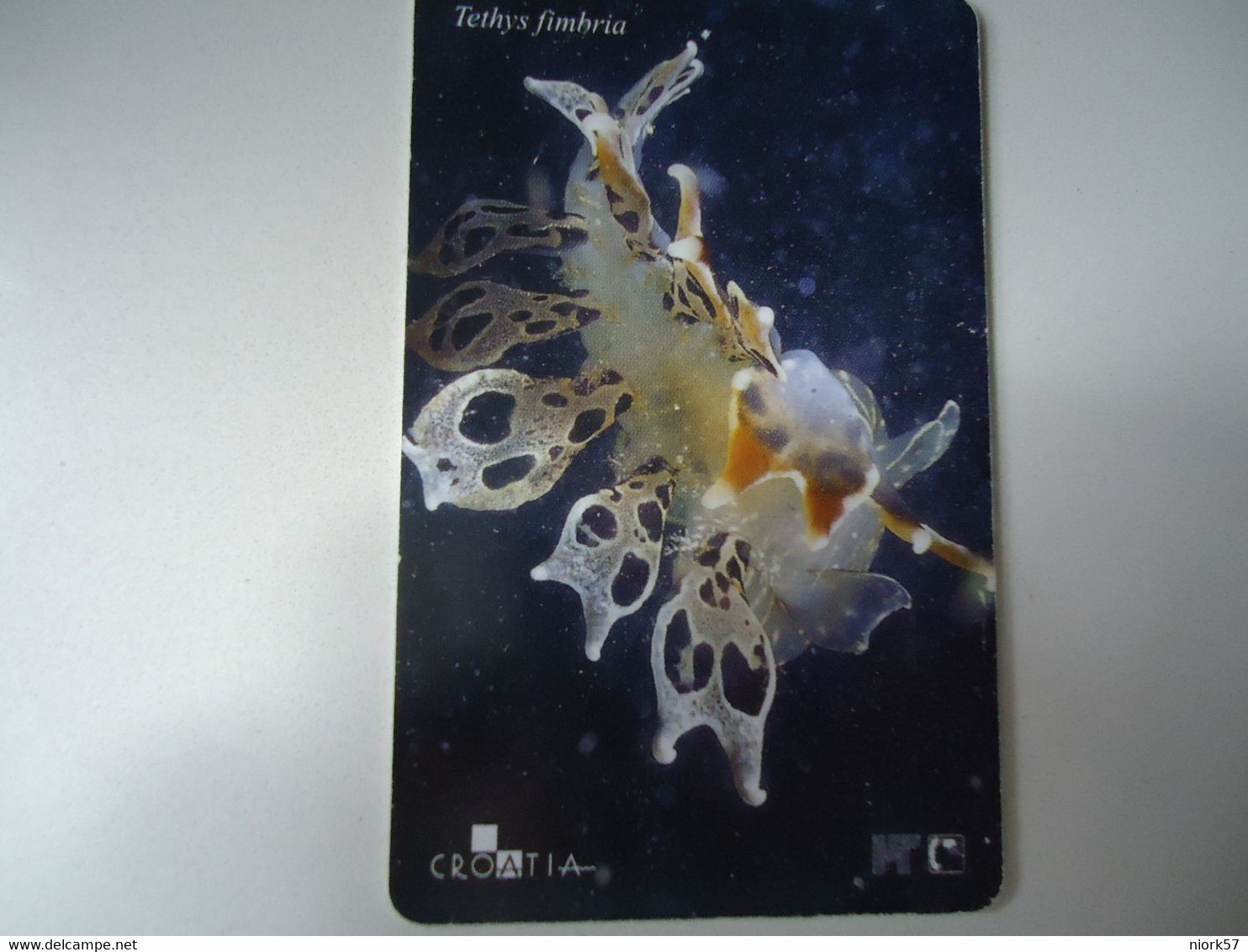 CROATIA USED CARDS MARINE LIFE  FISHES - Poissons