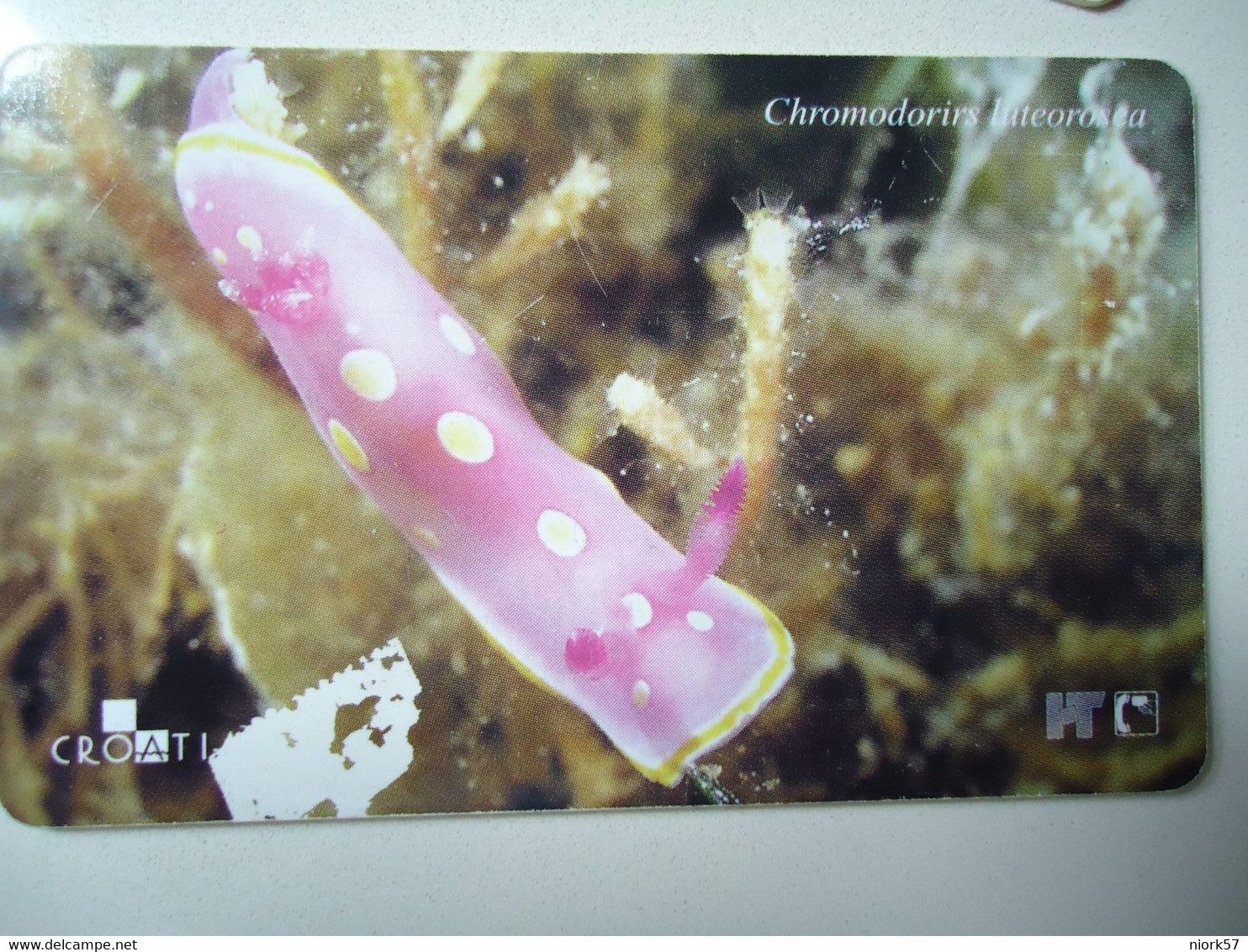 CROATIA USED CARDS MARINE LIFE  FISHES - Peces