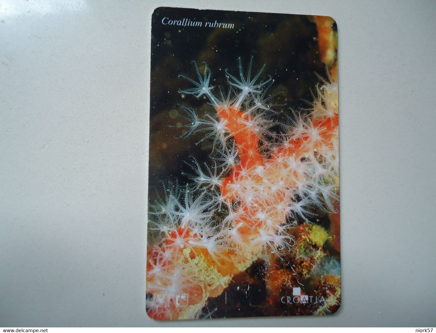 CROATIA USED CARDS MARINE LIFE  FISHES - Poissons