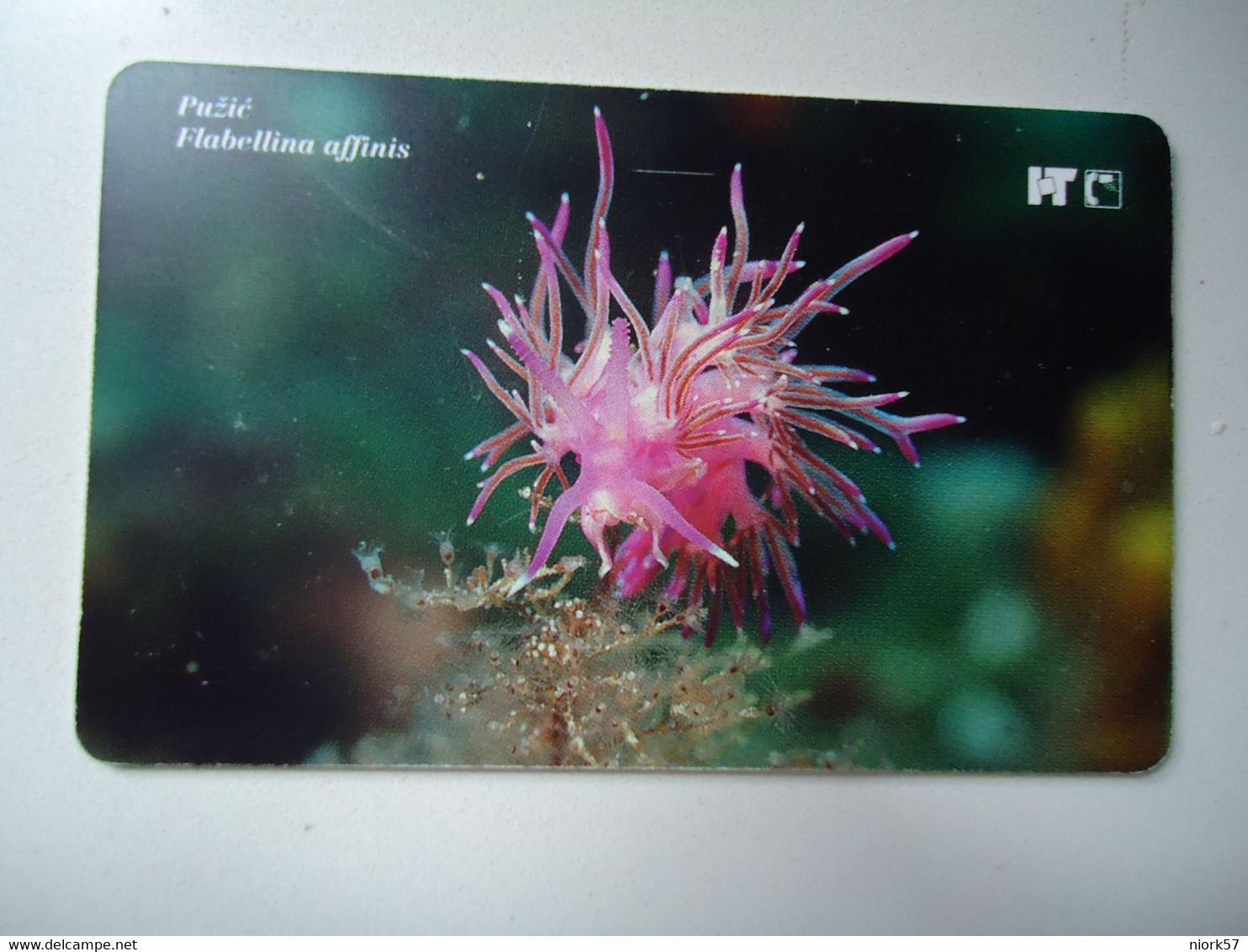 CROATIA USED CARDS MARINE LIFE  FISHES - Peces