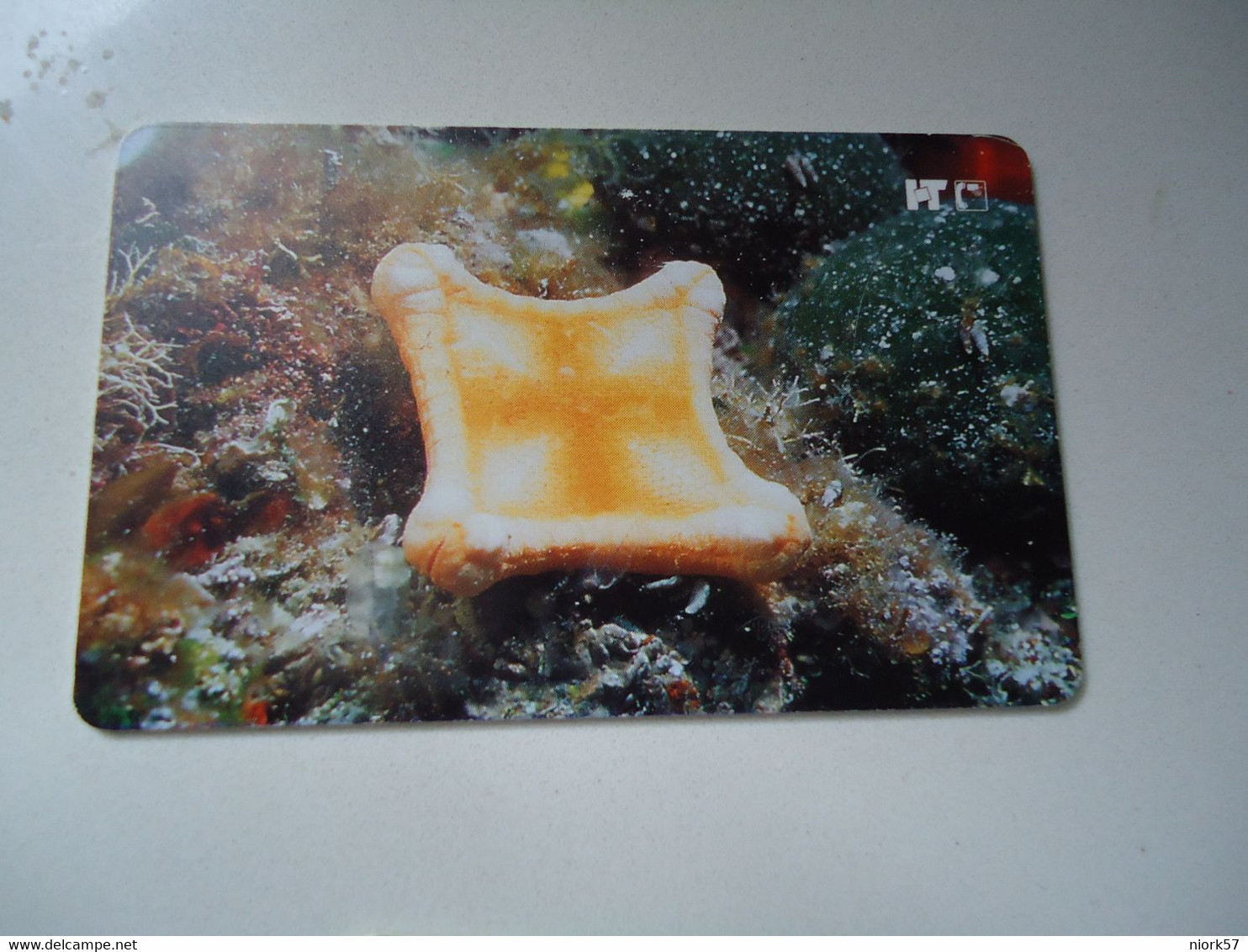 CROATIA USED CARDS MARINE LIFE  FISHES - Peces