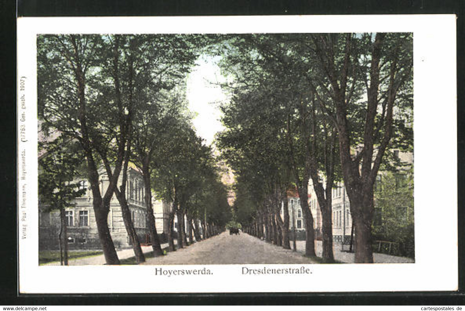 AK Hoyerswerda, Blick In Die Dresdenerstrasse - Hoyerswerda