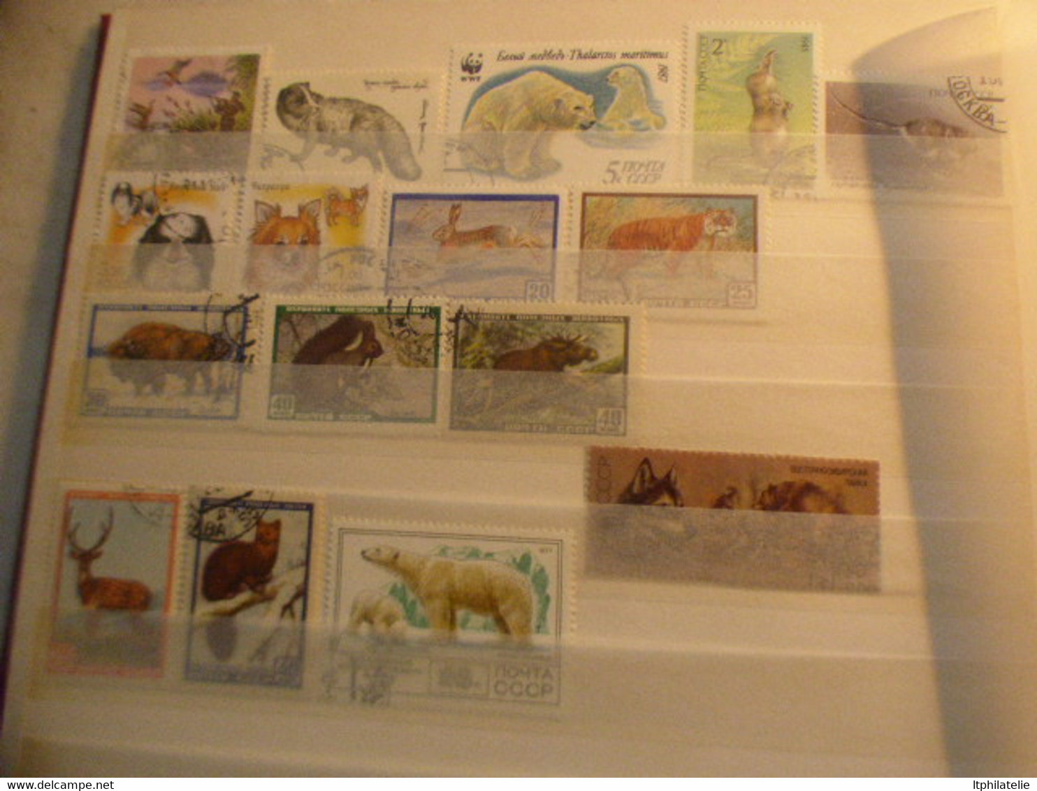 DESTOCKAGE_ COLLECTION-  RUSSIE TIMBRES NEUFS ET OBLITERES EN PARFAITE CONDITION + QUELQUES LETTRES