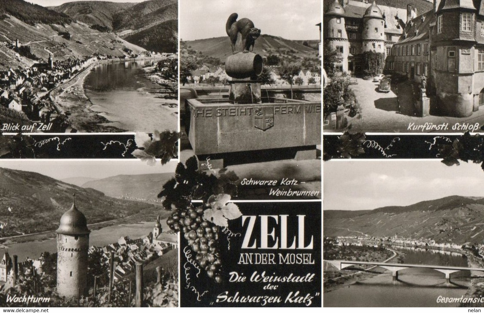 ZELL AN DER MOSEL - REAL PHOTO - Zell