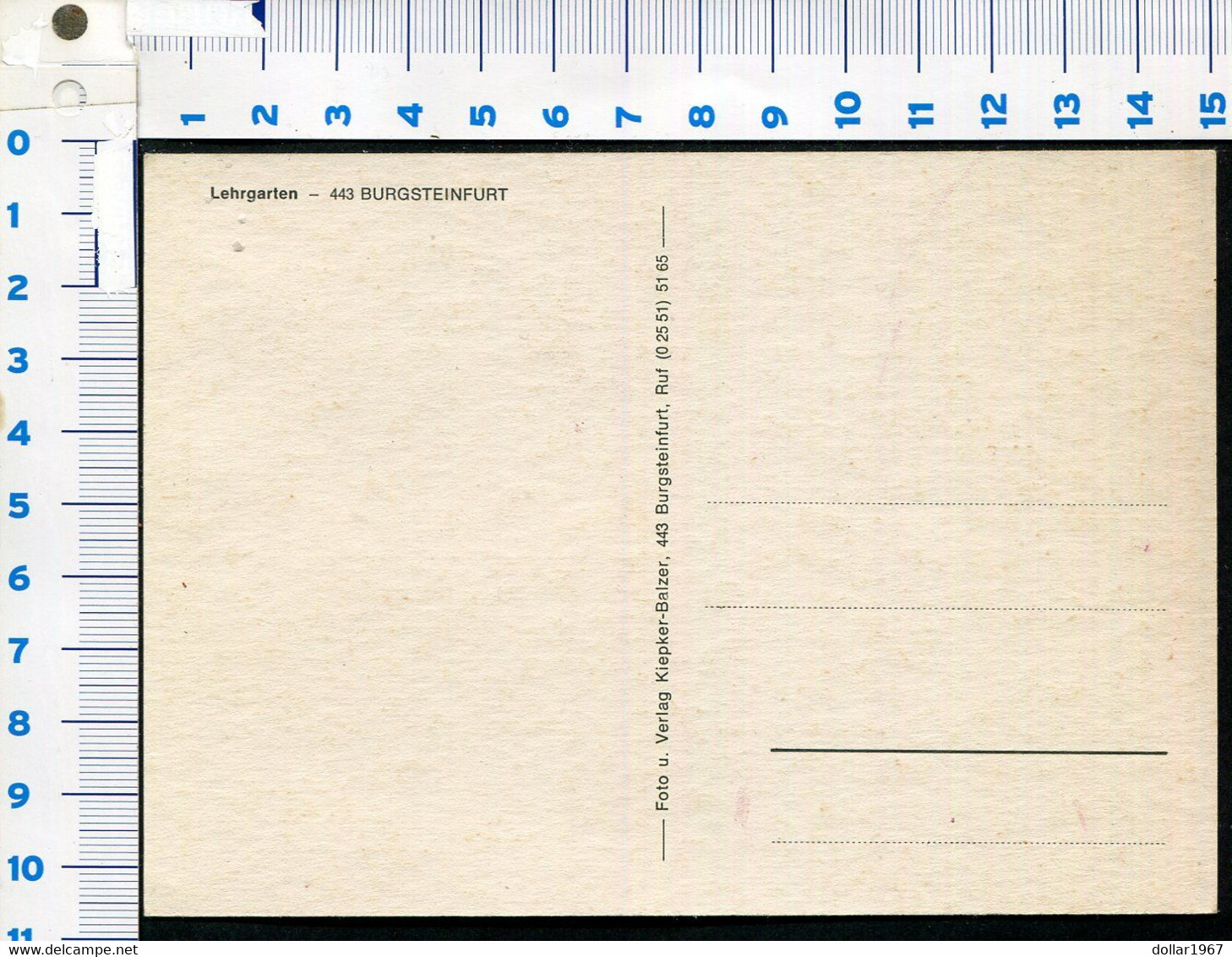 Lehrgarten - Burgsteinfurt: - 48565 Steinfurt, N.Westfalen -   2 Scans For Condition. (Originalscan !! ) - Steinfurt