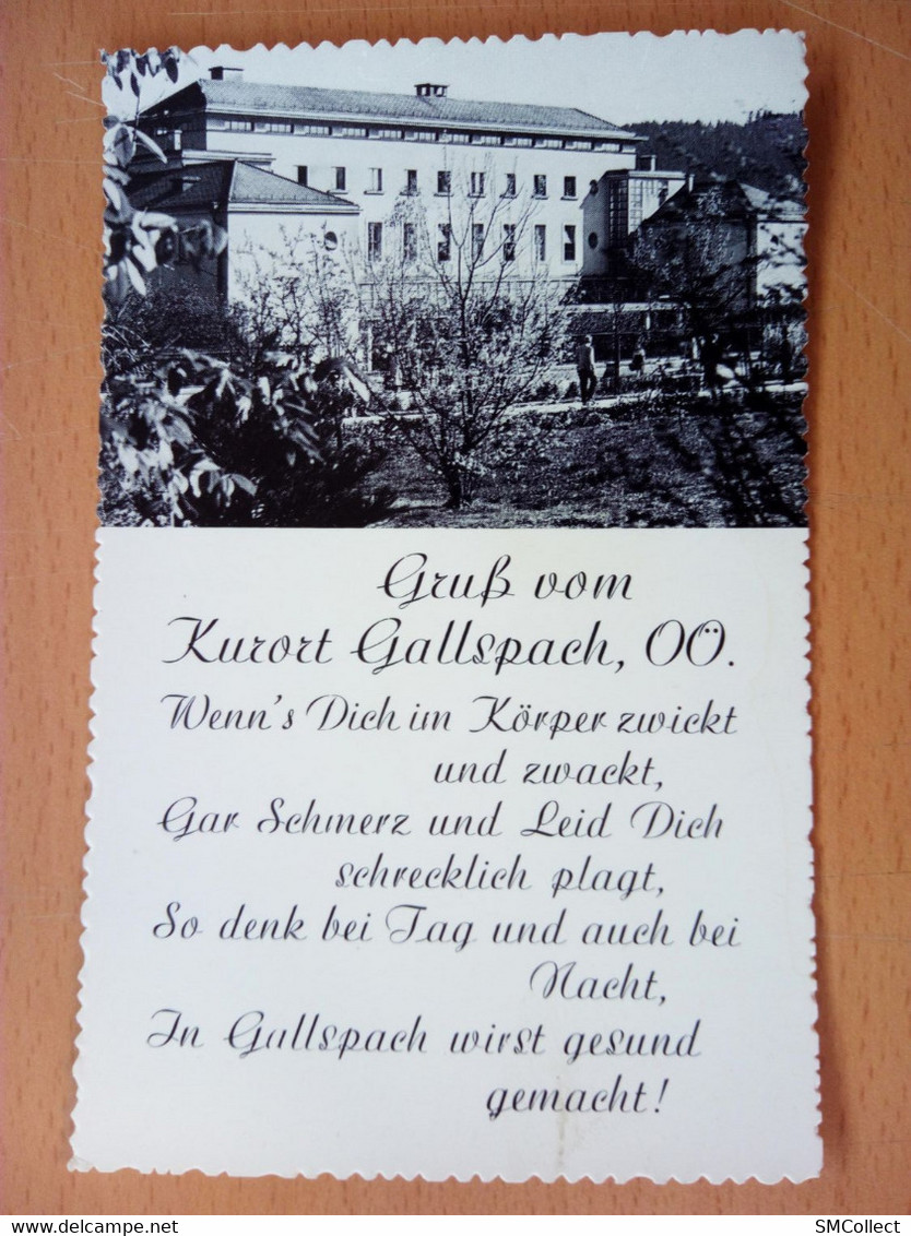 Gruss Vom Kurort Gallspach, Oö (Institut Zeileis) - (7134) - Gallspach