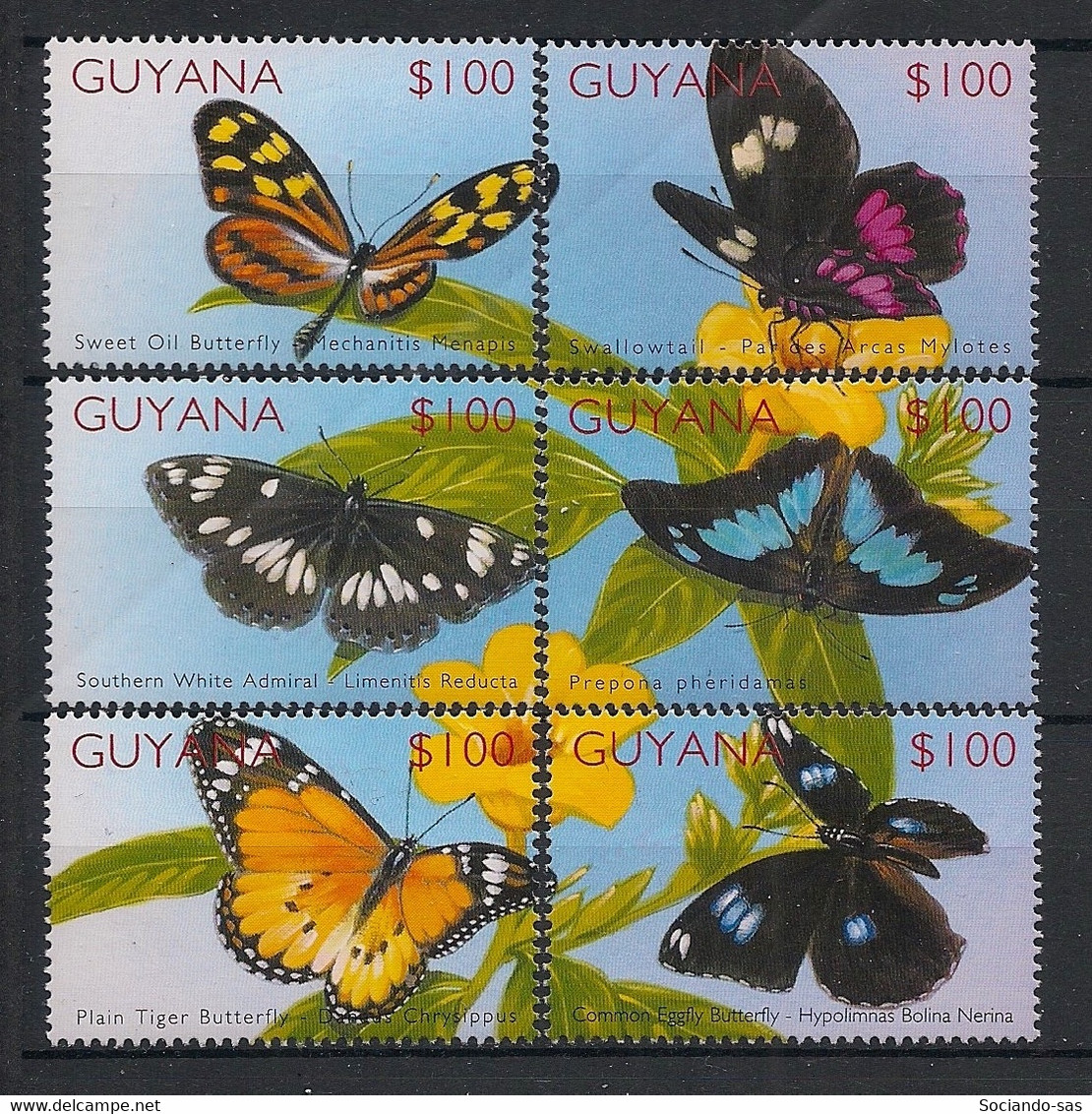 Guyana - 2002 - N°Yv. 5524 à 5529 - Papillon / Butterfly - Neuf Luxe ** / MNH / Postfrisch - Farfalle