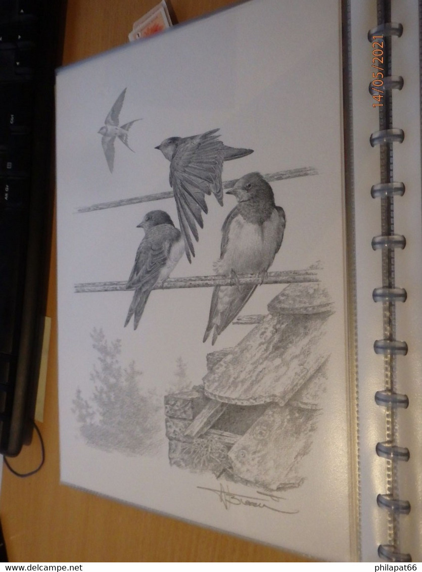 A.Buzin Tekening Berenzwaluw - 1985-.. Birds (Buzin)