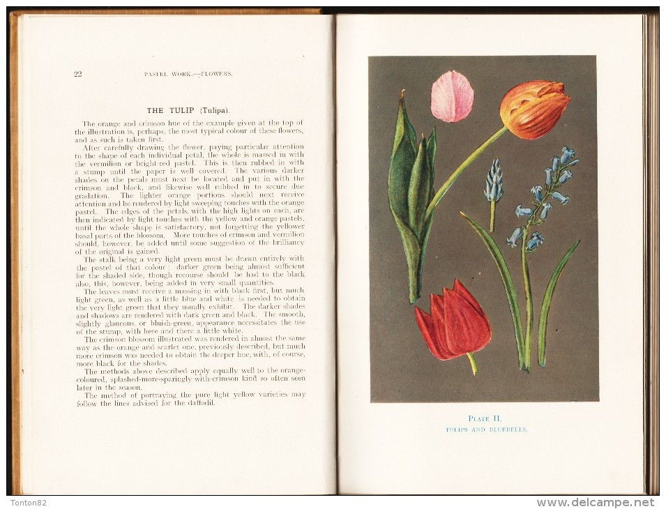 H.A. Rankin - Pastel Work Flowers - Ed. Sir Isaac Pitman & Sons,  LTD. - Vie Sauvage