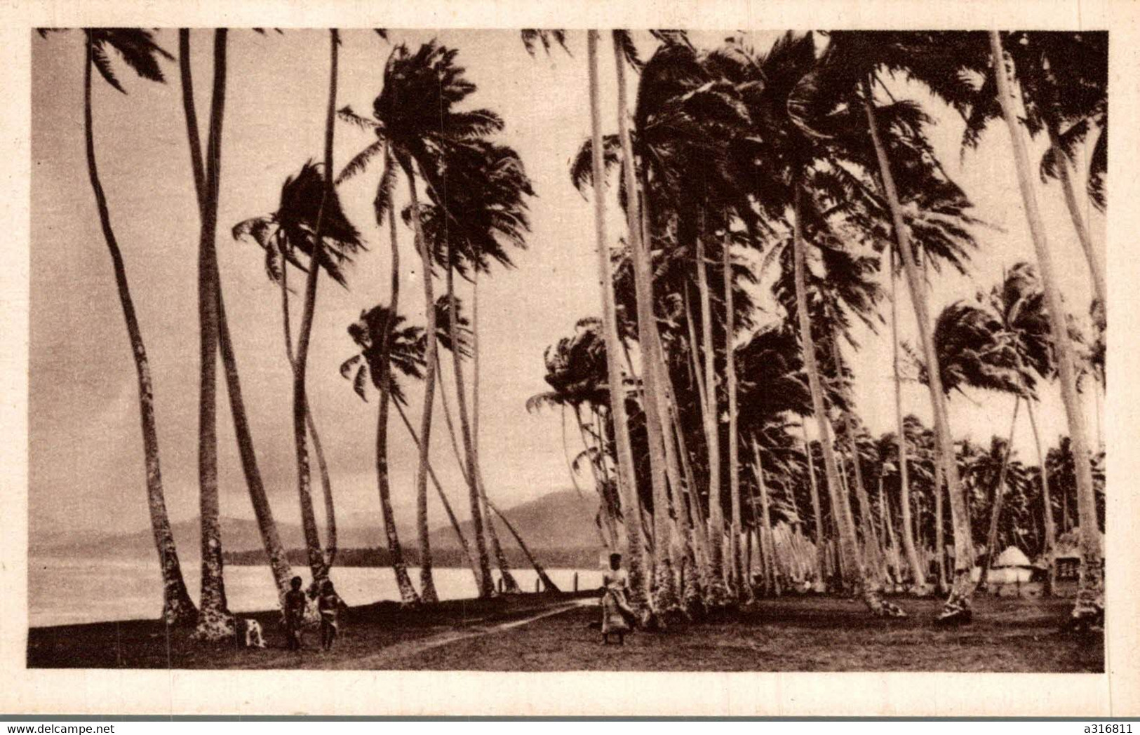 UN ORAGE SUR SAMOA - Amerikanisch Samoa