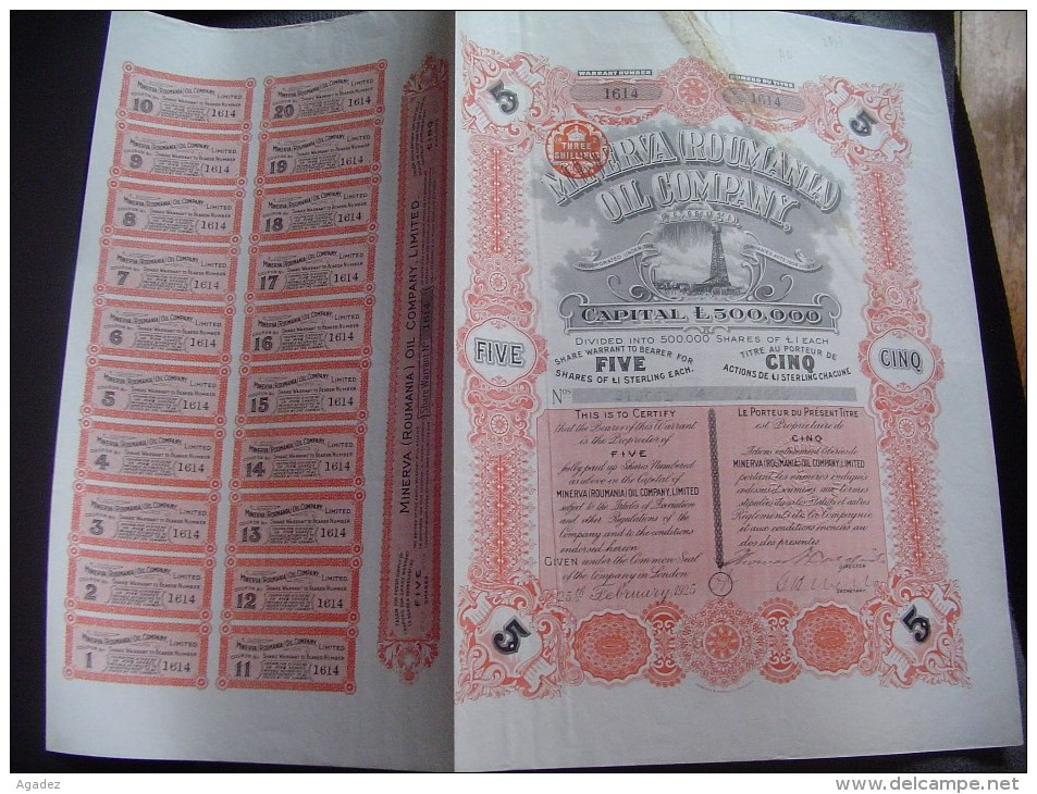 Titre De 5 Actions " Minerva ( Roumania ) Oil Company "  London 1925 Avec Tous Les Coupons. - Petrolio