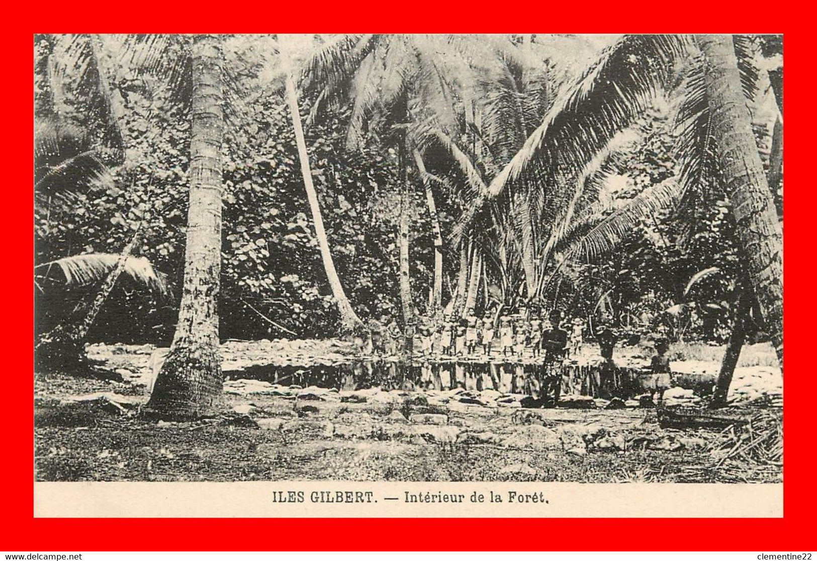 Iles Gilbert  , Intérieur De La Foret    ( Recto Et Verso ) - Kiribati