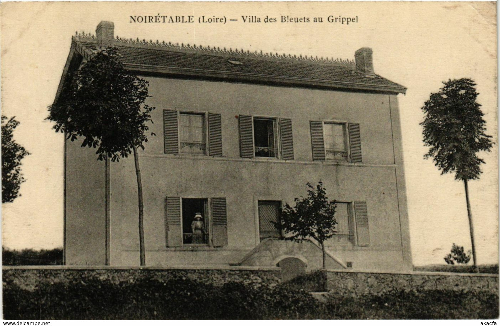 CPA NOIRETABLE - Villa Des Bleuets Au Grippel (578480) - Noiretable