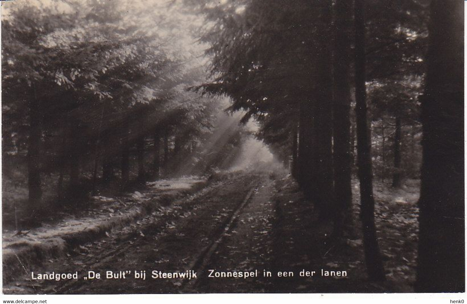 Steenwijk Landgoed De Bult Zonnespel In Een Der Lanen OB707 - Steenwijk