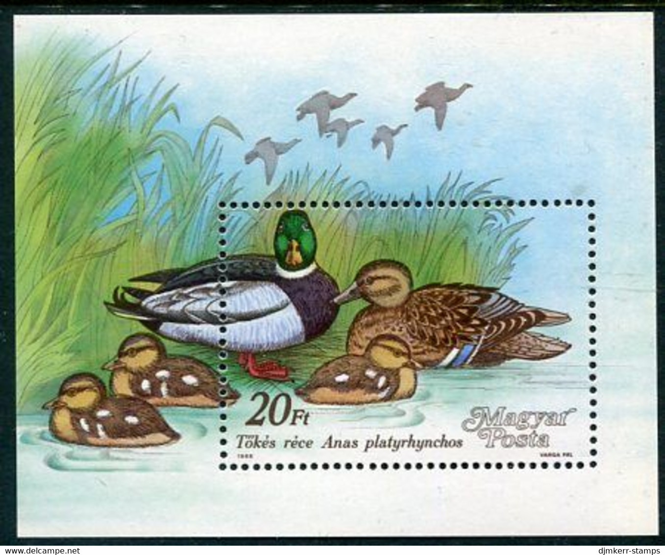 HUNGARY 1988 Wild Ducks Block MNH / **.  Michel Block 199 - Unused Stamps