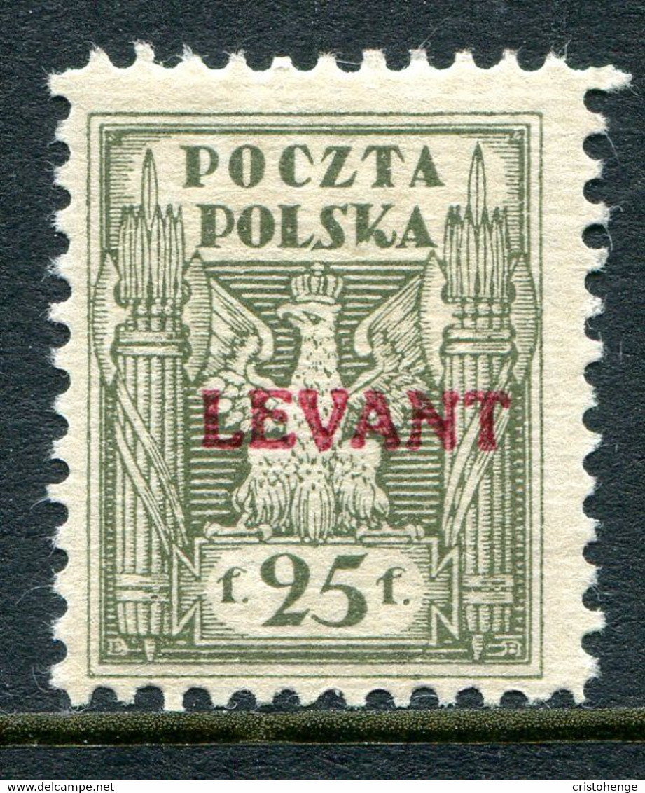 Poland Levant 1919 Overprints - 25f Olive HM (SG 6) - Levant (Turkije)