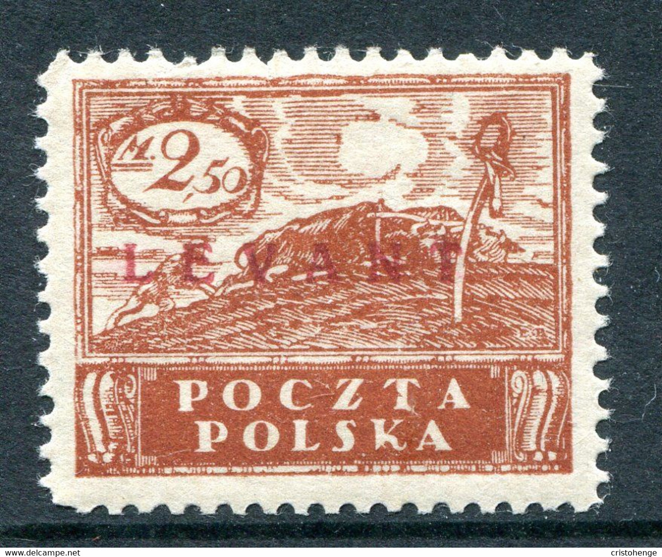 Poland Levant 1919 Overprints - 2.50m Red-brown HM (SG 11) - Levant (Turquie)