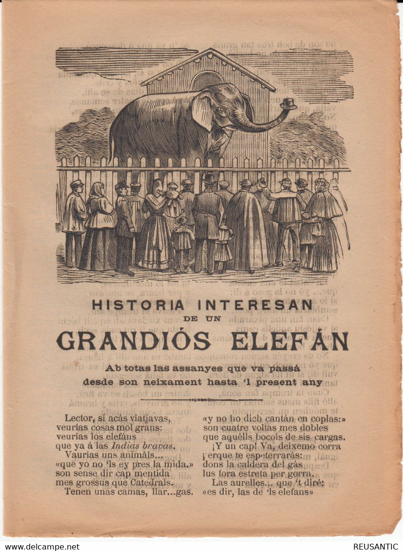 SIGLO XIX EN CATALÁN - ROMANSOS - HISTORIA INTERESAN DE UN GRANDIÓS ELEFAN ... EDITA JOAN GRAU EN REUS - Littérature