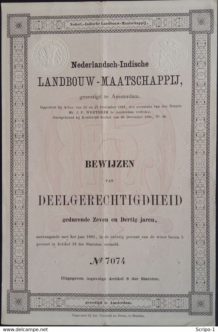 Ned. Indische Landbouw Mij.  ( Ned Indië ) 1884 - Landwirtschaft