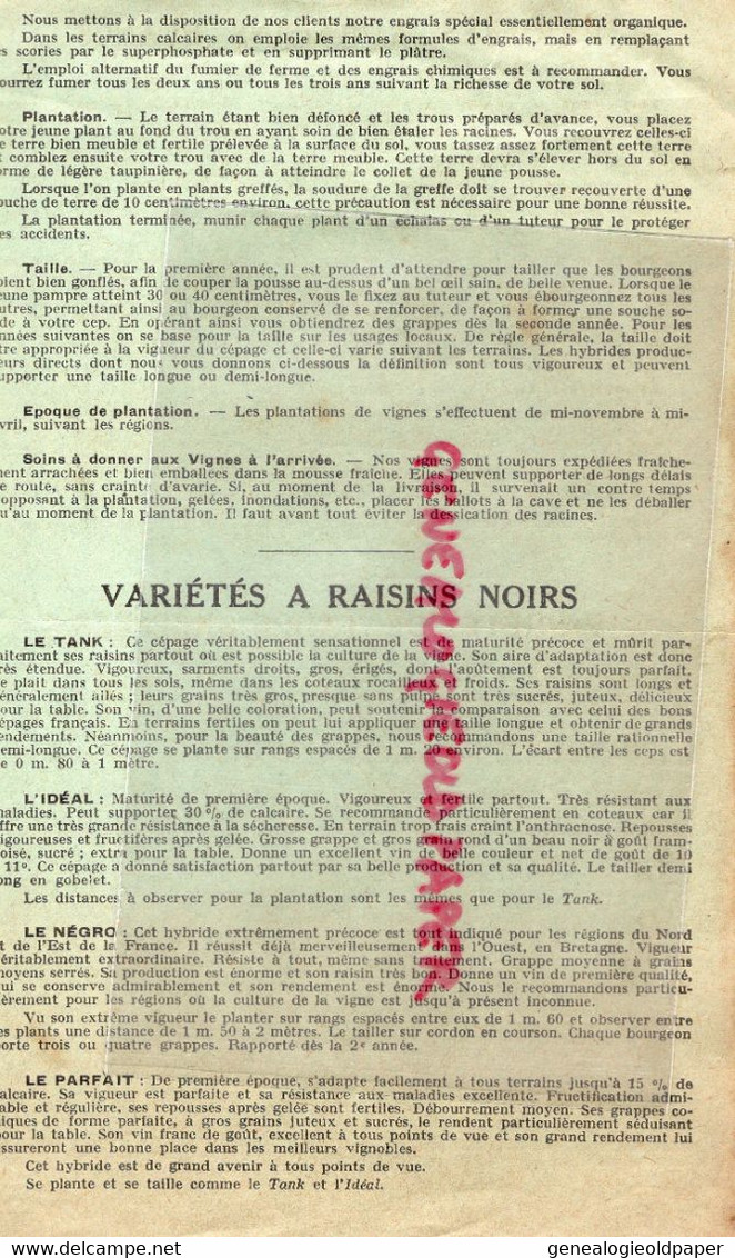 95- ARGENTEUIL- DEPLIANT FLEURY & GENDRE- BD JEANNE D' ARC- PLANTS VIGNE RAISINS NOIRS -CHASSELAS-MUSCAT HAMBOURG - Landwirtschaft