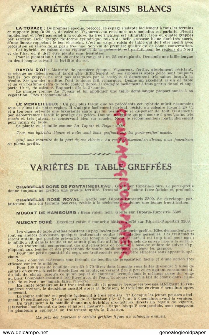 95- ARGENTEUIL- DEPLIANT FLEURY & GENDRE- BD JEANNE D' ARC- PLANTS VIGNE RAISINS NOIRS -CHASSELAS-MUSCAT HAMBOURG - Landwirtschaft